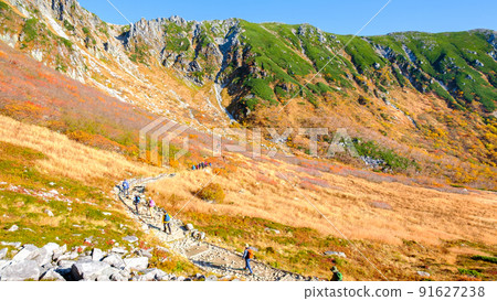 秋季木曾駒岳徒步（千疊敷捲曲） 91627238