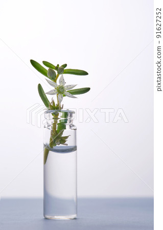 Bottle of water with flower on a light background. It can fit the theme of cosmetics, glass and freshness. 91627252