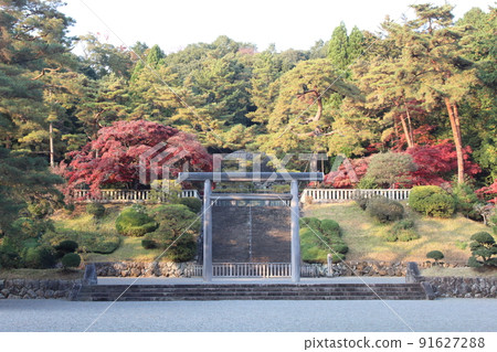 多摩陵墓和被夕陽染紅的秋葉樹 大正天皇陵 武藏陵墓 東京八王子市 91627288