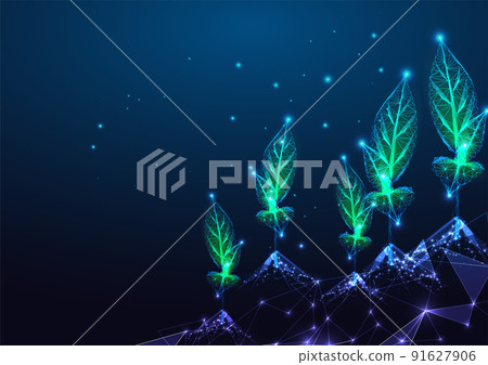 Concept of agrotechnology, smart sustainable farming with sprouts, seedlings field on dark blue Concept of agrotechnology, smart sustainable farming with sprouts, seedlings field on dark blue 91627906