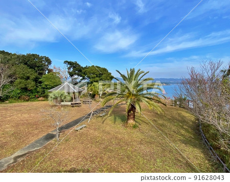 渡野花園 91628043