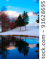 Trees, snowy mountains and reflection 91628695