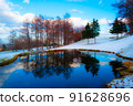 Reflective programming, trees and snowy mountains 91628696