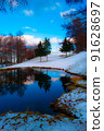Trees reflected in a snowy mountain pond 91628697