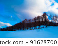 Conifers lined up in the snowy mountains 91628700
