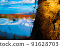 Landscape of splendid trees and snowy mountains 91628703