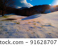 Illuminated by snowy mountains and the sun 91628707