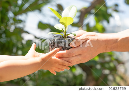 將植物幼苗交給孩子們 91628769