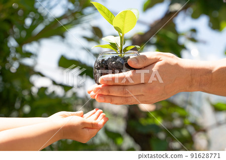 將植物幼苗交給孩子們 將植物幼苗交給孩子們 91628771