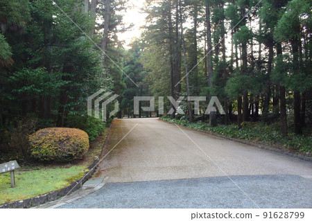 The approach leading to the Musashi Imperial Mausoleum Tree-lined road Hachioji, Tokyo 91628799