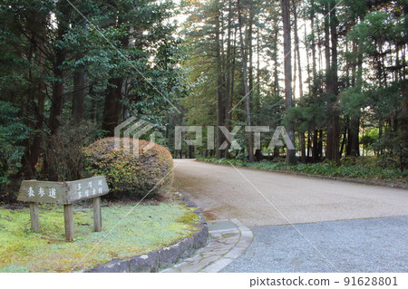 The approach leading to the Musashi Imperial Mausoleum Tree-lined road Hachioji, Tokyo 91628801