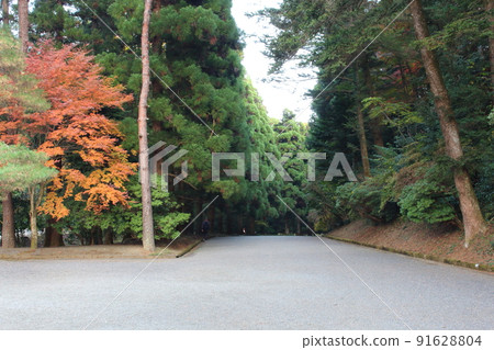 The approach leading to the Musashi Imperial Mausoleum Tree-lined road Hachioji, Tokyo 91628804