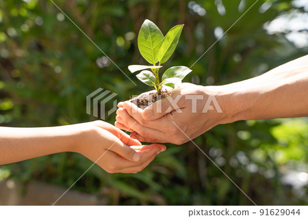 Handing over plant seedlings to children Handing over plant seedlings to children 91629044