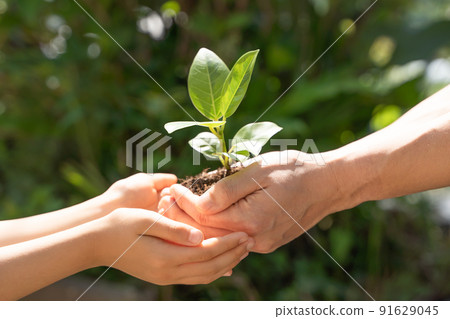 Handing over plant seedlings to children 91629045
