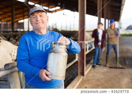 Senior farmer with milk can in cowhouse 91629778