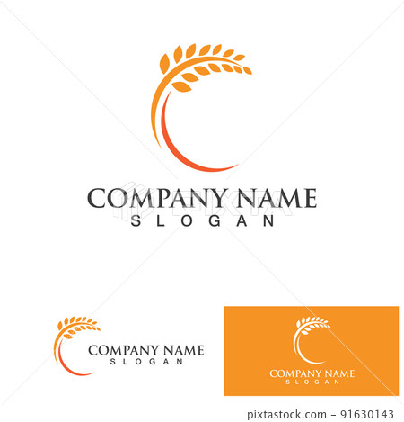 Agriculture Wheat logo template vector icon design 91630143