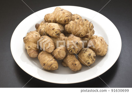 菊久茂 菊久茂 91630699