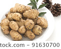 Jerusalem artichoke 91630700