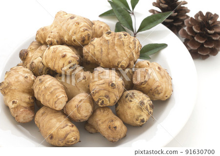 菊久茂 菊久茂 91630700