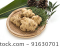 Jerusalem artichoke 91630701