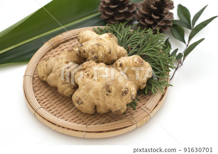 菊久茂 菊久茂 91630701