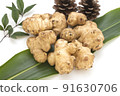 Jerusalem artichoke 91630706