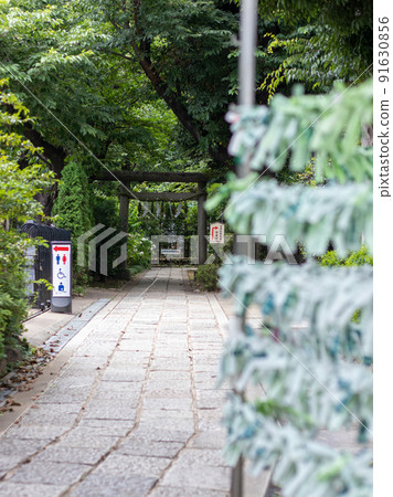 Early summer of Shoin Shrine 91630856