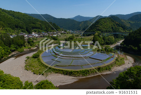 Aragijima in early summer, Shimizu, Aridagawa-cho, Arida-gun, Wakayama Prefecture 91631531
