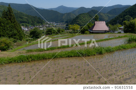 Rural scenery in early summer Shimizu, Aridagawa-cho, Arida-gun, Wakayama Prefecture 91631558
