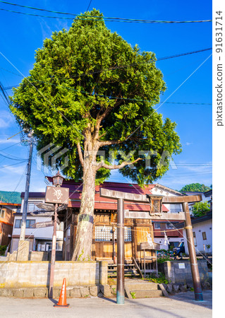 野澤溫泉的西宮神社 91631714