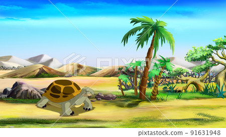 Big turtle near the palm tree Big turtle near the palm tree 91631948