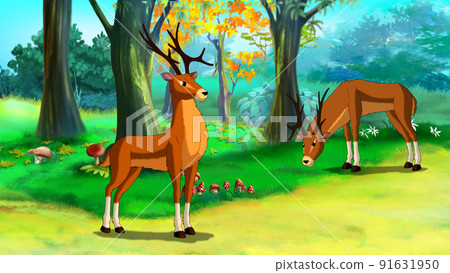 Deer in a forest illustration Deer in a forest illustration 91631950