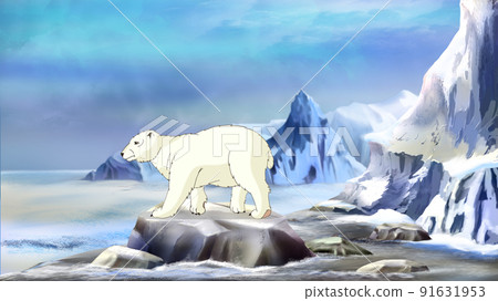 Polar bear on the Arctic ocean Polar bear on the Arctic ocean 91631953