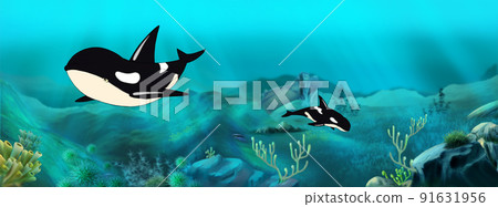 Whale underwater illustration Whale underwater illustration 91631956