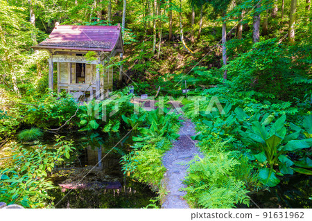 Dragon is a hollow pond Dragon is a hollow pond 91631962