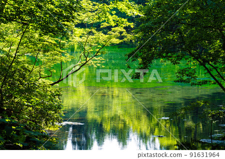 Dragon is a hollow pond Dragon is a hollow pond 91631964