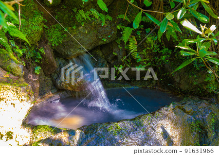 Dragon is hollow 91631966