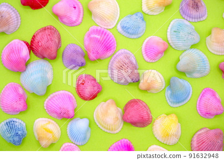 彩色貝殼背景（黃綠色） 91632948