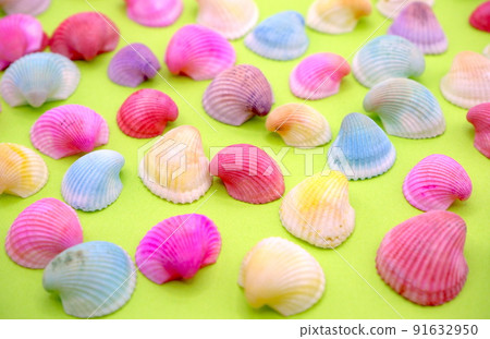 Colorful shell background (yellowish green) 91632950