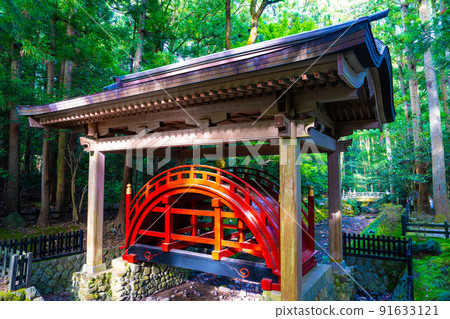 Yahiko Shrine Tamanobashi 91633121