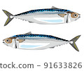 一對鯖魚 91633826