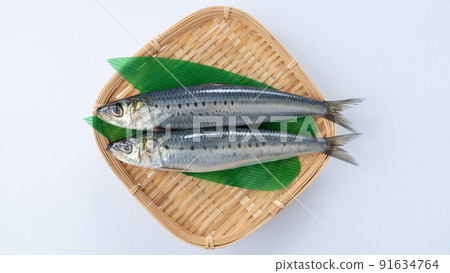 True sardines True sardines 91634764