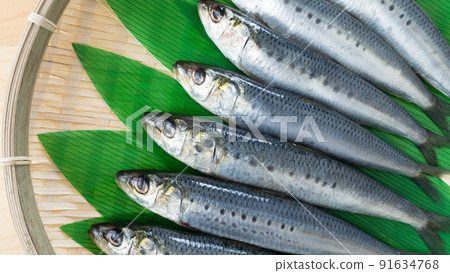 True sardines True sardines 91634768