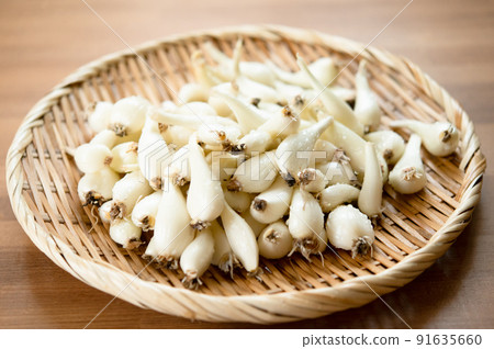 Freshly washed scallions in a basket Freshly washed scallions in a basket 91635660