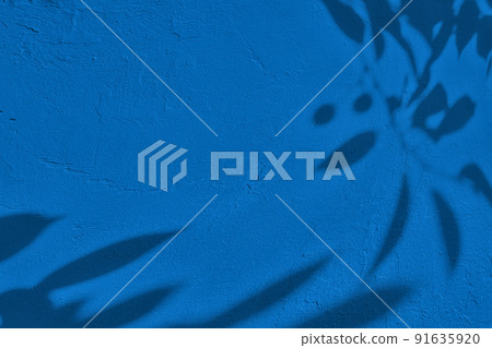 Shadow of leaves on blue concrete wall texture background 91635920
