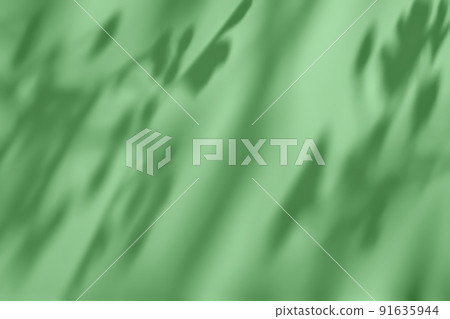 Shadow of leaves on green concrete wall texture background Shadow of leaves on green concrete wall texture background 91635944