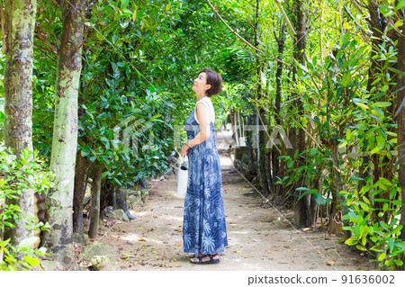 沖繩的發電站“福木並木”，行走在數百年福木樹的沙路上行走的旅行少女 91636002