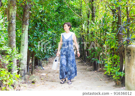 Okinawa's power spot "Fukugi Namiki", a traveling girl walking on a sandy road lined with hundreds of years old Fukugi trees 91636012
