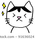 Mame-san，一隻帶有看起來像假髮的圖案的貓，預計ver。 91636024