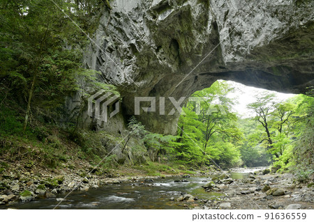 Fresh green of Taishaku Gorge and Onbashi in summer 91636559